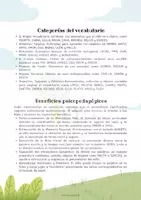 Vista previa - Hojas de trabajo - Carátula Lapto - página 3