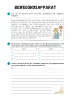 Vorschau - Arbeitsblätter - Sportbiologische Grundlagen ⎮ Bewegungsapparat - Übungsaufgabe für Klasse 10 bis 13 - Seite 2