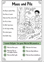 Vorschau - Arbeitsblätter - Lesen Klasse 1 Erstlesen im Wald – Lesetexte und Aufgaben für Klasse 1-2 - Seite 3