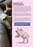 Vorschau - Anderer Materialtyp - Kostenlos: Leitfaden Lehrperson "Ethischer Umgang mit Tieren im Unterricht" - Seite 2