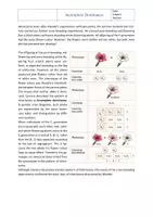 Vorschau - Arbeitsblätter - Sparpaket: Genetics - Theory (with solutions) - Seite 2