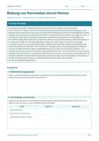 Vorschau - Arbeitsblätter - Materialpaket - Biologie Klasse 10 - Arbeitsblätter - Seite 1
