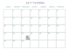 anteprima - Programmi scolastici / Materiali per docenti - PLANNER DA MURO + AGENDA DEL DOCENTE 2026-27 - Pagina 1