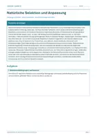 Vorschau - Arbeitsblätter - Arbeitsblatt Biologie Klasse 10 - Natürliche Selektion und Anpassung - Deckblatt
