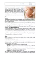 Vorschau - Arbeitsblätter - Genetics: Formation of Sex Cells with solution - Seite 1