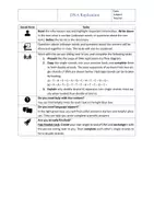 Vorschau - Arbeitsblätter - Genetics: DNA Replication with solution - Seite 2