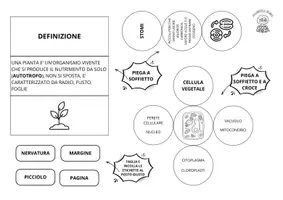 anteprima - Materiale di supporto/inclusione - Lapbook di scienze per la classe IV - Pagina 3