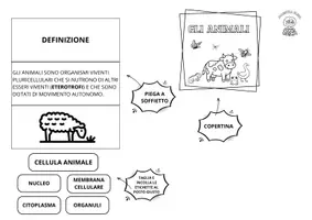 anteprima - Materiale di supporto/inclusione - Gli animali: lapbook di scienze - Pagina 2