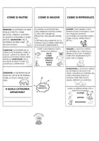 anteprima - Materiale di supporto/inclusione - Gli animali: lapbook di scienze - Pagina 3