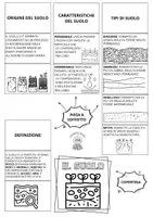 anteprima - Materiale di supporto/inclusione - Suolo: lapbook di scienze sul suolo - Pagina 2