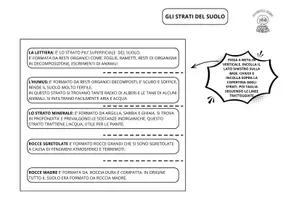 anteprima - Materiale di supporto/inclusione - Suolo: lapbook di scienze sul suolo - Pagina 3