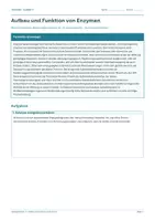 Vorschau - Arbeitsblätter - Materialpaket - Biologie Klasse 11 - Arbeitsblätter - Seite 1