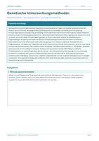 Vorschau - Arbeitsblätter - Arbeitsblatt Biologie Klasse 11 - Genetische Untersuchungsmethoden - Deckblatt