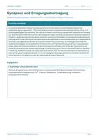 Vorschau - Arbeitsblätter - Arbeitsblatt Biologie Klasse 11 - Synapsen und Erregungsübertragung - Deckblatt