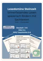 Vorschau - Spiele - Steinzeit Lesedomino Wahr Falsch Paket Bundle - Seite 1