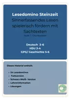 Vorschau - Spiele - Steinzeit Lesedomino Wahr Falsch Paket Bundle - Seite 2