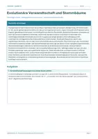 Vorschau - Arbeitsblätter - Arbeitsblatt Biologie Klasse 12 - Evolutionäre Verwandtschaft und Stammbäume - Deckblatt