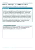 Vorschau - Arbeitsblätter - Arbeitsblatt Biologie Klasse 12 - Wirkung von Drogen auf das Nervensystem - Deckblatt