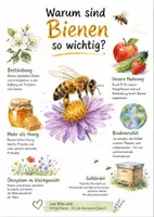 Vorschau - Arbeitsblätter - Lernposter + Arbeitsblätter zum Thema "Warum sind Bienen so wichtig?" + Lösung & MP3 + Mindmap + Infografik - Deckblatt