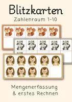 Vorschau - Fördermaterial/Inklusion - Blitzkarten zur Mengenerfassung | Mathematik 1. Klasse | Erste Zahlen lernen Vorschule - Deckblatt
