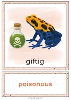 Vorschau - Spiele - Describing Animals – 24 Bildkarten | Deutsch–Englisch - Seite 3