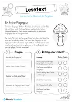 Vorschau - Arbeitsblätter - 10 Lesetexte zum Herbst (mit Aufgaben) - Seite 3