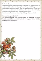 Vorschau - Arbeitsblätter - Eichhörnchen - Ernährung | Sachunterricht Klasse 1 & 2 | Arbeitsblätter, Tafelmaterial & Legekreis - Seite 3