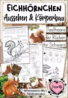 Vorschau - Arbeitsblätter - Eichhörnchen – Aussehen & Körperbau | Sachunterricht Klasse 1–2 - Deckblatt