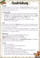 Vorschau - Arbeitsblätter - Eichhörnchen – Aussehen & Körperbau | Sachunterricht Klasse 1–2 - Seite 1