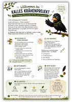 Vorschau - Arbeitsblätter - Krähen-Projekt Kindergarten | 5 Tage Kita-Projekt Natur | Krähe & Rabenvögel | Spiele, Bildkarten & Forscherideen - Seite 3