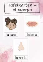 Vorschau - Poster - Tafelkarten el cuerpo - der Körper - Deckblatt