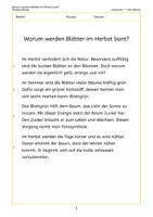 Vorschau - Arbeitsblätter - Leseverstehen: Warum werden Blätter bunt? | 3-fach differenziert | 3. Klasse | Leseförderung - Seite 1