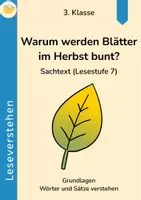 Vorschau - Arbeitsblätter - Leseverstehen: Warum werden Blätter bunt? | 3-fach differenziert | 3. Klasse | Leseförderung - Seite 3