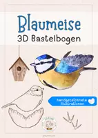Vorschau - Mal- und Bastelvorlagen - Blaumeise 3D Bastelbogen Heimische Vögel - Deckblatt