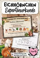 Vorschau - Anderer Materialtyp - Eichhörnchen - Expertenurkunde | Sachunterricht Klasse 1 & 2 - Deckblatt