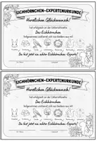Vorschau - Anderer Materialtyp - Eichhörnchen - Expertenurkunde | Sachunterricht Klasse 1 & 2 - Seite 3