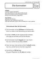 Vorschau - Arbeitsblätter - Kostenlose Lapbook-Musterelemente mit drei Unterstützungsniveaus - Seite 1