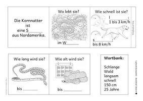 Vorschau - Arbeitsblätter - Kostenlose Lapbook-Musterelemente mit drei Unterstützungsniveaus - Seite 2