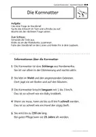 Vorschau - Arbeitsblätter - Kostenlose Lapbook-Musterelemente mit drei Unterstützungsniveaus - Seite 3