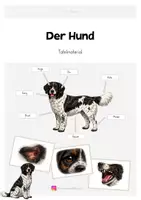 Vorschau - Poster - Hund Körperbau | Tafelmaterial - Deckblatt