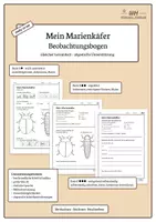 Vorschau - Arbeitsblätter - Mein Marienkäfer – Beobachtungsbogen - Deckblatt