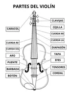 Vista previa - Hojas de trabajo - Hoja de trabajo · Partes del violín - página 1