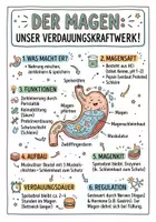 Vorschau - Arbeitsblätter - Lernplakat + Arbeitsblatt "Magen" + Onlineübung & MP3 + Mindmap + Infografik - Deckblatt