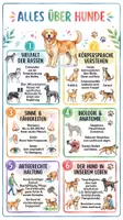 Vorschau - Arbeitsblätter - Lernposter + Arbeitsblatt "Hunde" + Onlineübung & MP3 + Mindmap + Infografik - Deckblatt