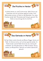 Vorschau - Arbeitsblätter - wachsendes Materialpaket Herbst | Materialsammlung Herbst - Seite 3