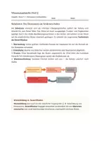 Vorschau - Stundenentwürfe - Geografie: Desertifikation - Wüstenbildung durch den Mensch - Seite 2