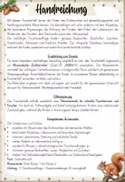Vorschau - Arbeitsblätter - Eichhörnchen – Forscherheft für den Sachunterricht | Grundschule Klasse 1–2 - Seite 1