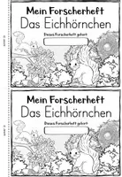 Vorschau - Arbeitsblätter - Eichhörnchen – Forscherheft für den Sachunterricht | Grundschule Klasse 1–2 - Seite 3