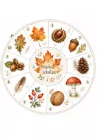 Vorschau - Bildkarten - Herbst Legekreise für Kita & Kindergarten – 3 Legekreise | Herbstschätze, Erntezeit & Halloween - Seite 1