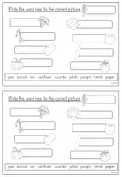 Vorschau - Arbeitsblätter - FREEBIE: Vegetables - Booklet (Englisch) - Seite 3